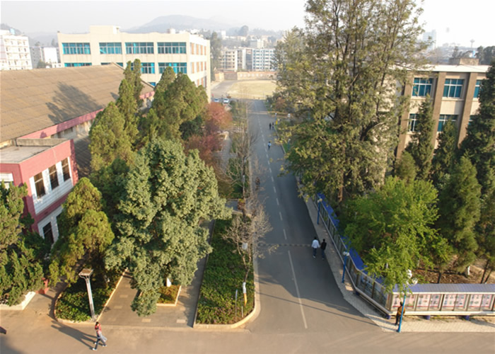 云南旅游職業(yè)學院_林蔭大道