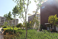 昆明醫(yī)科大學(xué)海源學(xué)院&mdash;&mdash;校園風(fēng)光