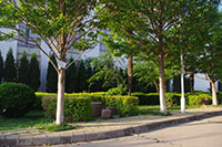 昆明醫(yī)科大學海源學院&mdash;&mdash;校園風光